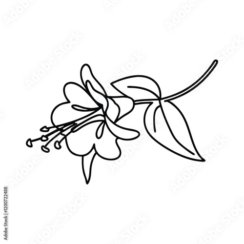 Enchanter Nightshade flower Hand drawn line art flat vector illustration.