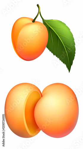 Realistic Apricot Illustrat...