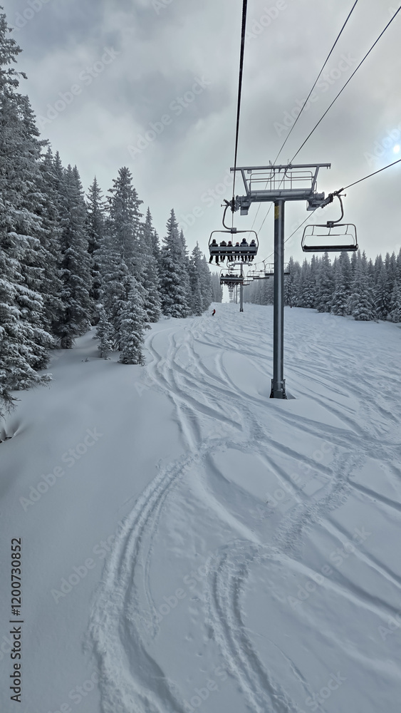 Obraz premium Snow Skiing in Colorado