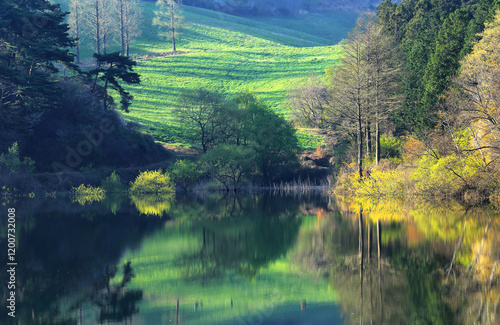 Seosan-si, Chungcheongnam-do, South Korea - April 16, 2018: Spring and morning view of trees and grassland on the hill with water reflection on Yongbiji Reservoir photo