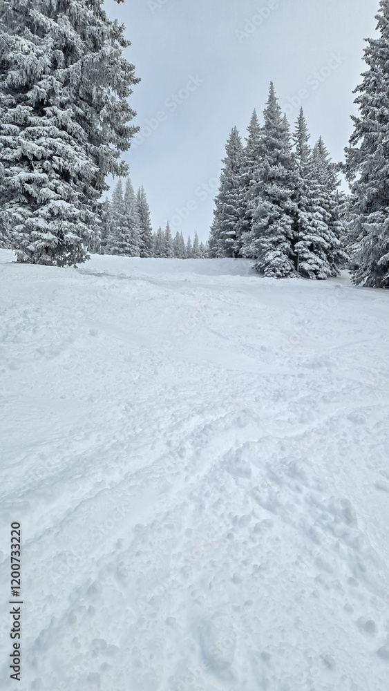 Obraz premium Snow Skiing in Colorado