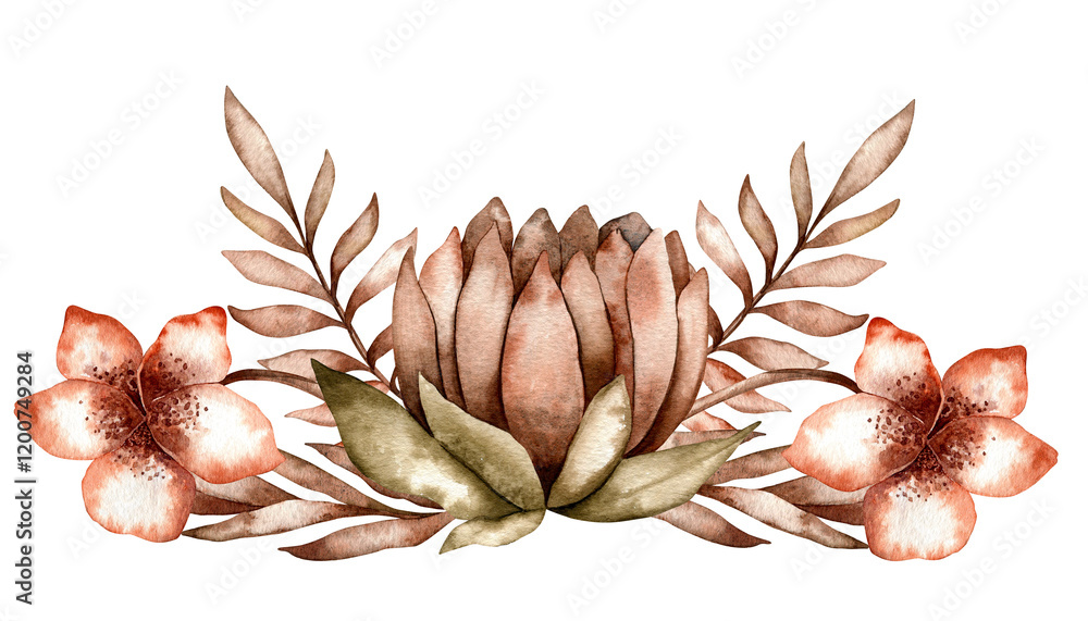 Fototapeta premium Watercolor illustration of flowers. Protea, flowers, plants, painted in brown shades, collected in a border. Design for invitations, cards in boho style.