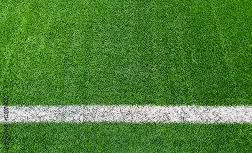White line of soccer field