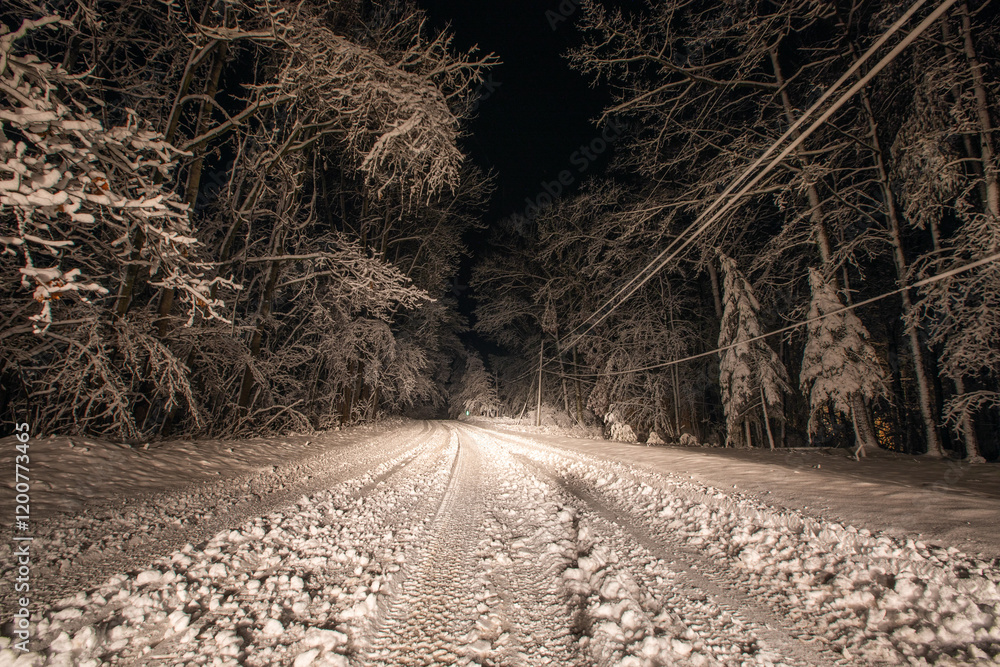 Obraz premium road in the snow