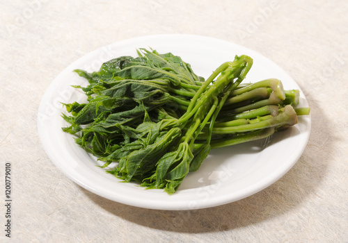 Close up of blanched Duleub(Fatsia Shoots) with leaf and stem on white dish and paper floor, South Korea photo