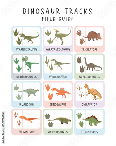 Dinosaur Tracks Field Guide: Educational Poster with Dinosaur Footprints for Kids. Illustrated field guide featuring dinosaur tracks and species, designed for educational purposes