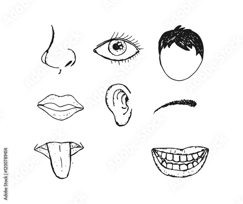 Hand-drawn doodle cartoon of head, eye, mouth with teeth, tongue, ear, eyebrow, and nose.