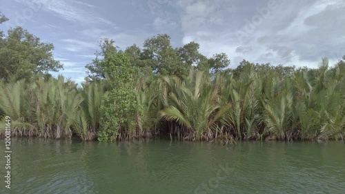 Experience the peaceful coastal waterways of Claver, Mindanao, Philippines, lined with lush nipa palms and vibrant tropical foliage. A tranquil scene of natural beauty and tropical vibes photo