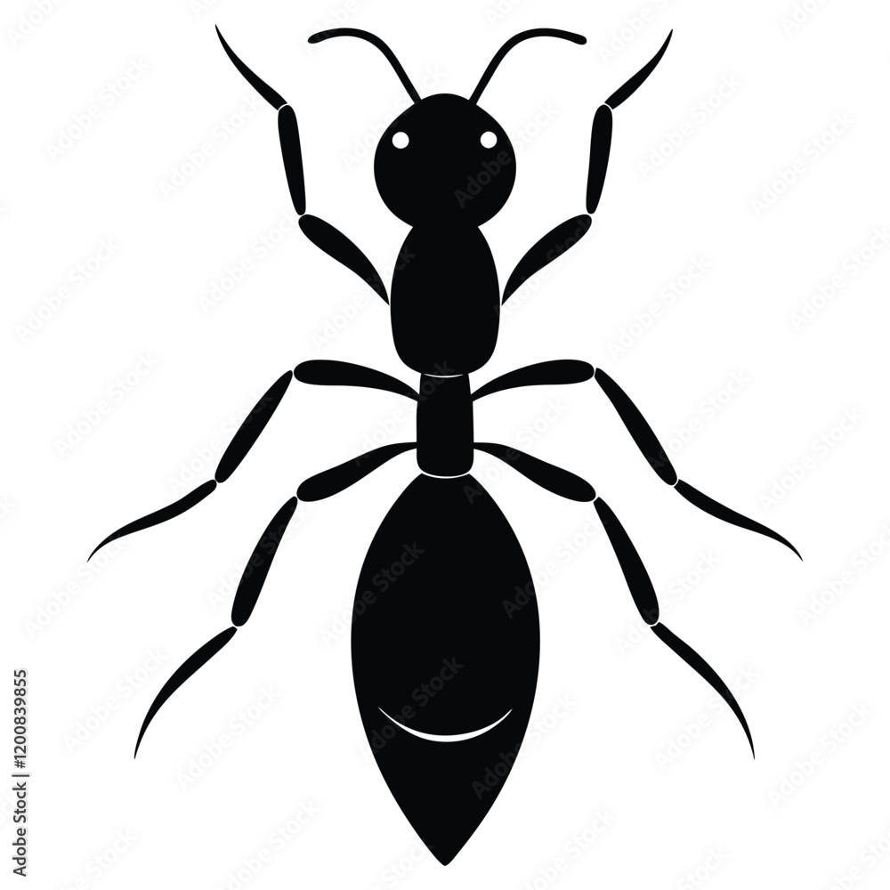 Adobe Illustrator Artwork Adobe Illustrator Artwork