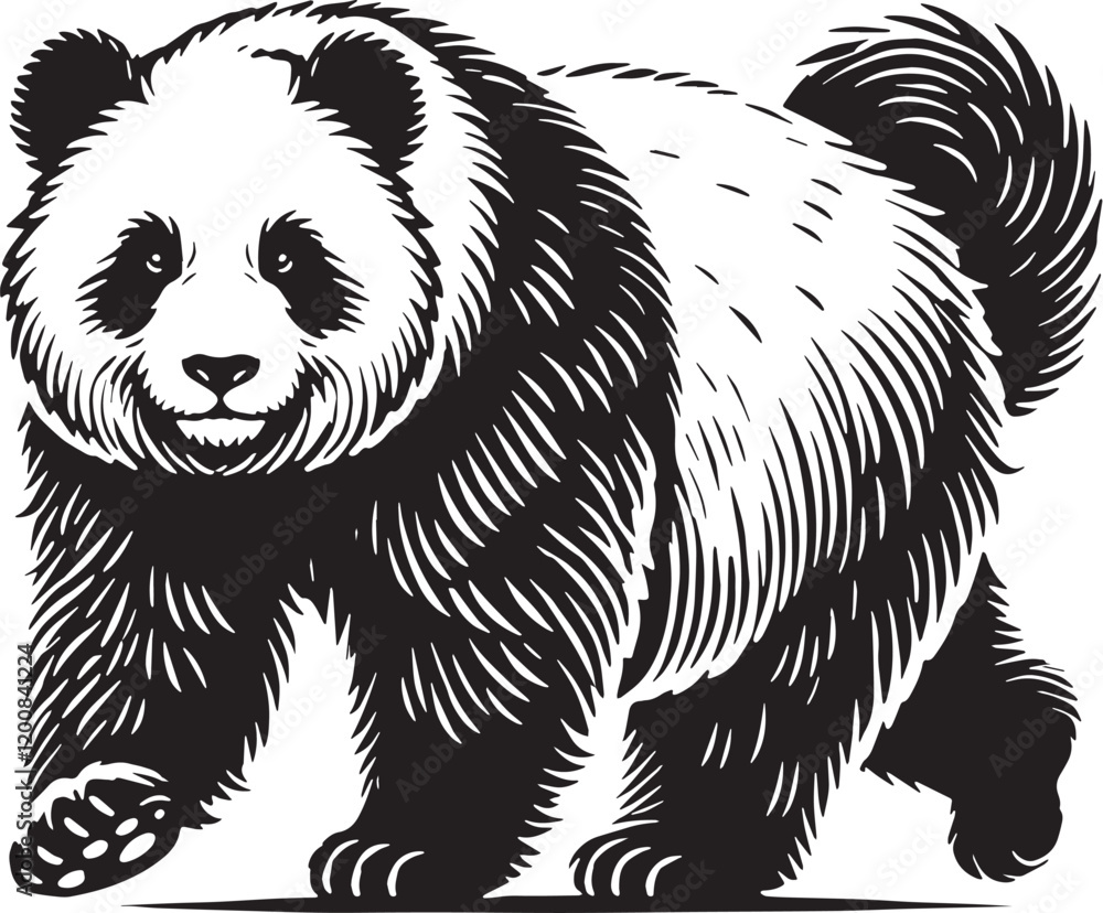 Obraz premium Black Color Panda Silhouette Vector Illustration, Solid White Background