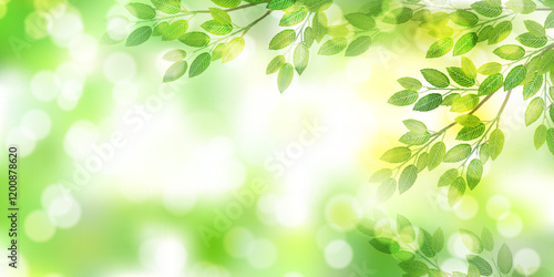 新緑　葉　風景　背景