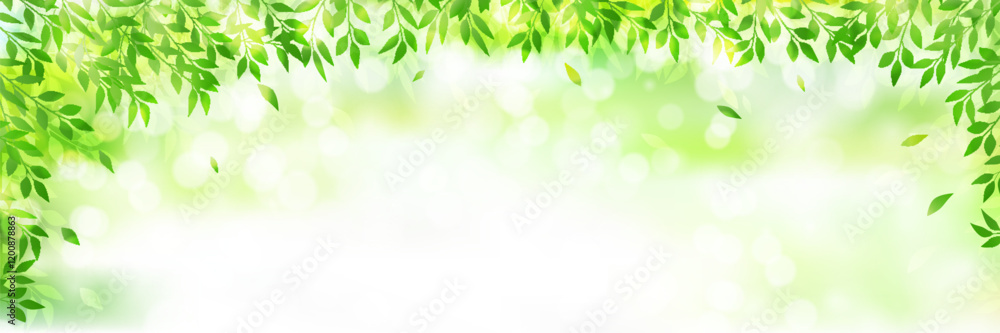 Fototapeta premium 新緑 葉 風景 背景