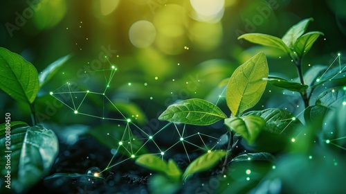 Abstract Visualization of Biodegradable Polymers in a Lush Green Environment with Nature's Glow
