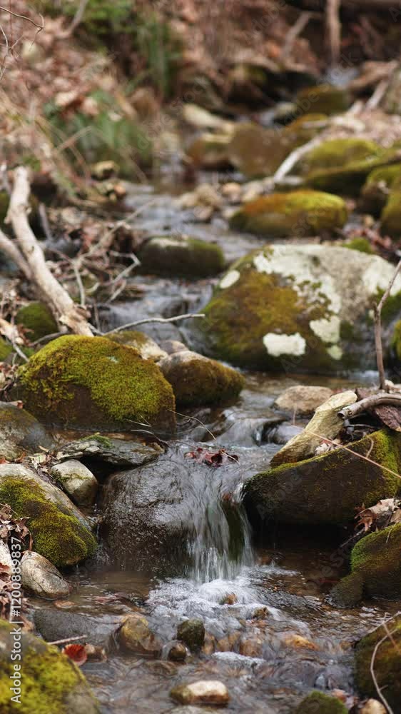 Handheld vertical shot of a serene forest stream cascading over moss-covered rocks. Captured in rich detail to highlight natural textures and soothing movement. Handheld vertical shot of a serene forest stream cascading over moss-covered rocks. Captured in rich detail to highlight natural textures and soothing movement.