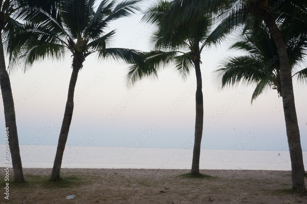 Serene Beach View with Palm Trees Silhouetted at Dusk Serene Beach View with Palm Trees Silhouetted at Dusk