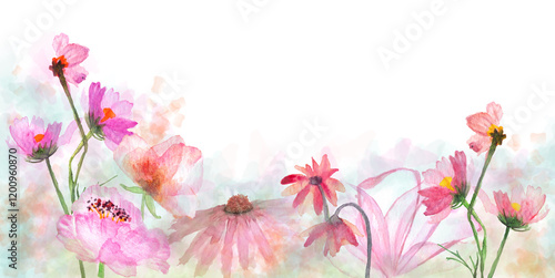 Banner con fiori delicati ad acquerello e sfondo sfumato