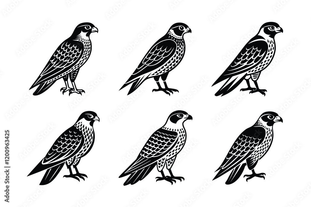 Fototapeta premium Falcon silhouette black set isolated on transparent background