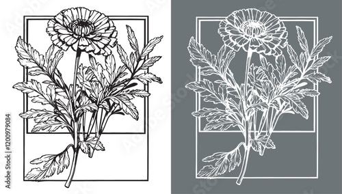flower line art pencil art, flower illustration with black and white line art