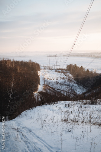 A stunningly beautiful snowy field, adorned with tall trees and power lines in the background, creates a picturesque winter scene that everyone can admire and truly enjoy to the fullest photo