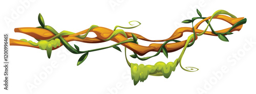 Tropical vine plants with curled tendrils on liana branches. Vector cartoon illustration
