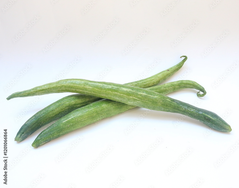 Trichosanthes anguina (Linn.) Common name is Snake gourd. Fruit is round and long with a pointed tip, smooth skin, with white and green stripes all over the fruit. Isolate on white background. Trichosanthes anguina (Linn.) Common name is Snake gourd. Fruit is round and long with a pointed tip, smooth skin, with white and green stripes all over the fruit. Isolate on white background.