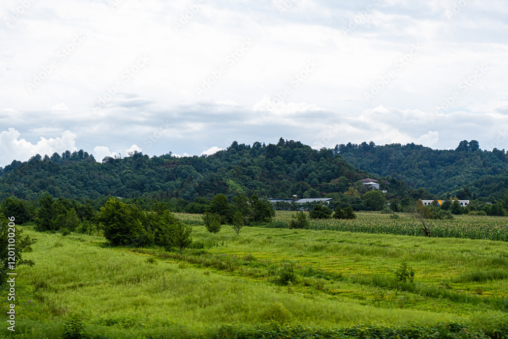 Fototapeta premium Rural summer landscape in Georgia