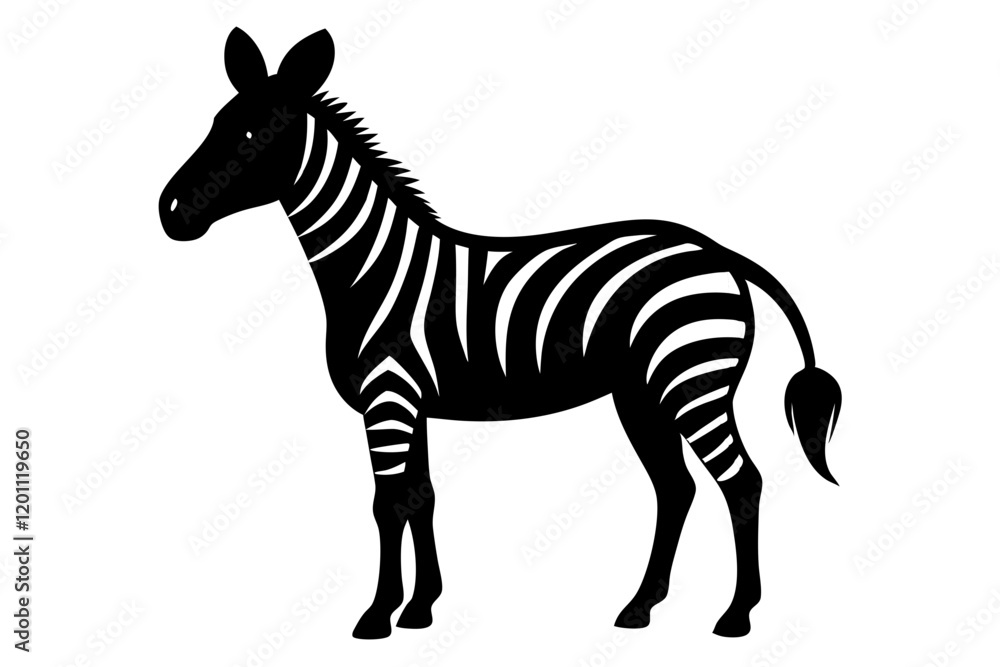 Obraz premium zebra vector illustration