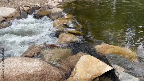 Fast mountain river with pure clear water running among large stones