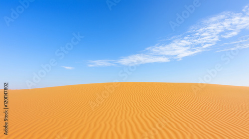 Desert Serenity: Vast expan...