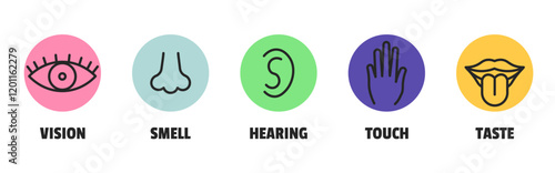 Minimal sence icons. Eye nose ear hand tongue sensation sign. Vector sensory simple sign