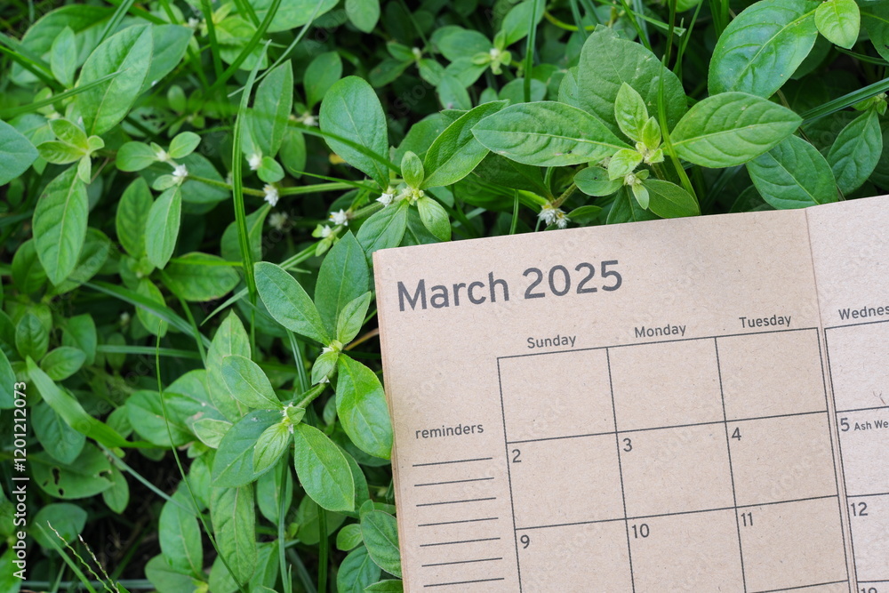 March 2025 calendar on lush green grass leaves background. Spring 2025.