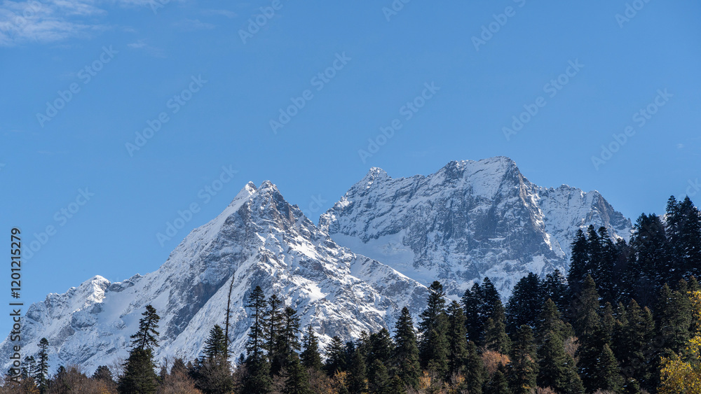 Snow-capped peaks with majestic blue slopes rise above rugged slopes of North Caucasus mountain range. Picturesque pine and spruce forests grow at foot of mountains with eternal glaciers. Dombai. Snow-capped peaks with majestic blue slopes rise above rugged slopes of North Caucasus mountain range. Picturesque pine and spruce forests grow at foot of mountains with eternal glaciers. Dombai.