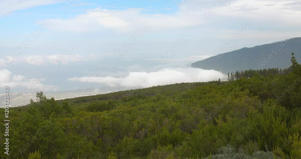 White Clouds Over Forested Mountains In Tenerife, Canary Islands, Spain. High Angle Shot White Clouds Over Forested Mountains In Tenerife, Canary Islands, Spain. High Angle Shot