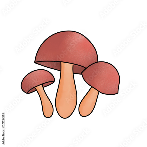 illustration of mushroom