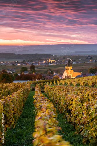 Autumn in the vineyards of Ville Dommange, Champagne, France photo