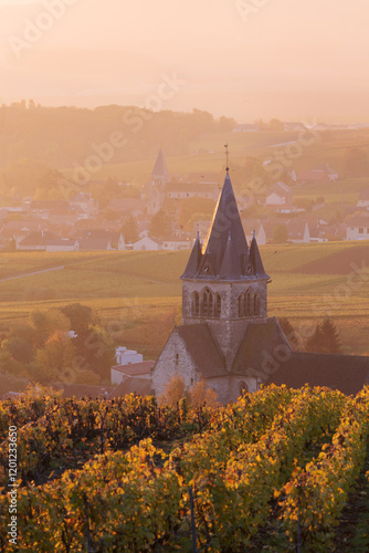 Ville Dommange and its vineyards, Champagne, France photo