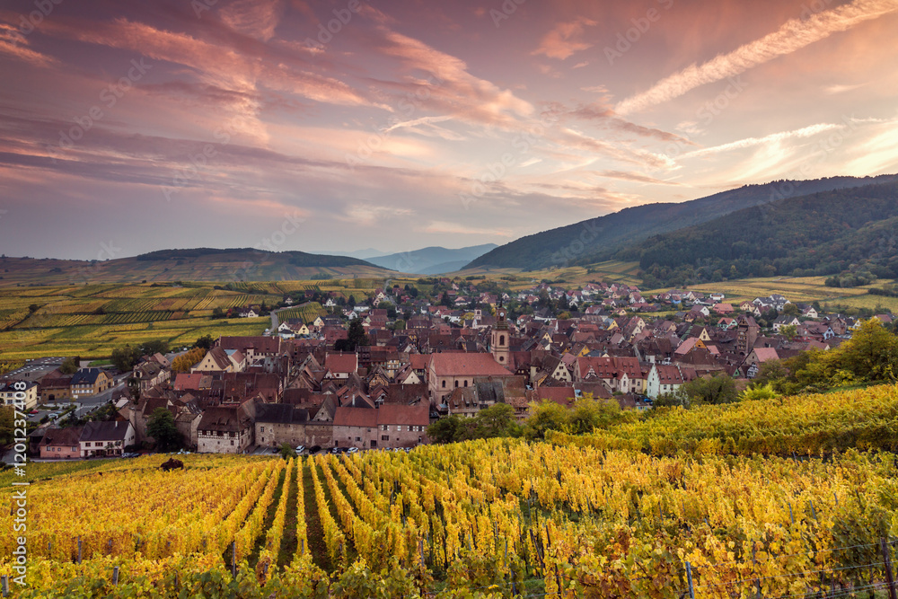 Sunset over the vineyards in autumn, Riquewihr, Alsace, France Sunset over the vineyards in autumn, Riquewihr, Alsace, France