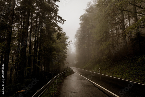 Foggy road