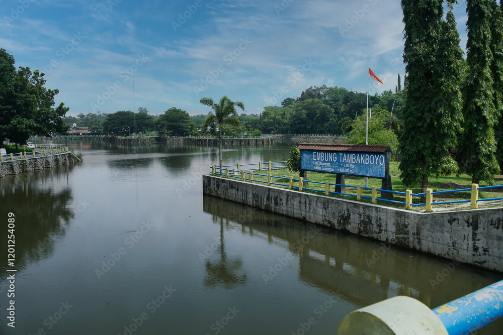 Scenic View of Tambakboyo Reservoir Surrounded by Trees and Clear Sky Scenic View of Tambakboyo Reservoir Surrounded by Trees and Clear Sky