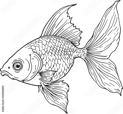 Goldfish Fish Linear Drawing Sketched Art Line Vector Illustration