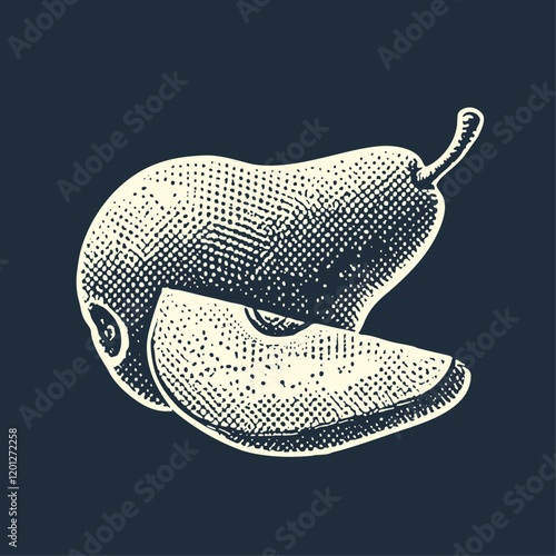 Pear Slice. Rough Vintage Stipple Engraving style vector illustration.