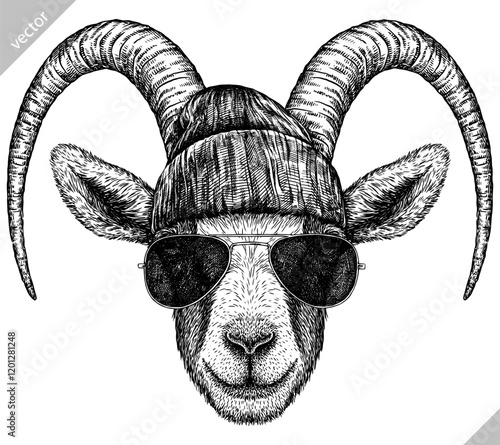 Vintage engraving isolated goat glasses dressed fashion set illustration ink sketch. Farm animal background ram silhouette sheep sunglasses hipster hat art. Black and white hand drawn vector image