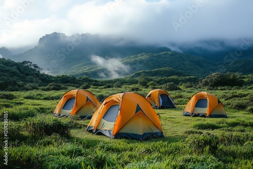 Campers enjoying nature in tents during a sunny morning on a grassy field