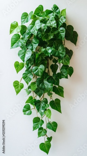 Lush green indoor plant arrangement on a light wall showcasing vibrant foliag...