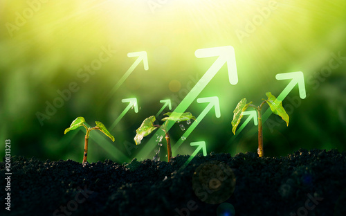 Concept of business growth,profit, development and success. Young plants increase on sunny background.Growing money,finance and investment.	
 photo