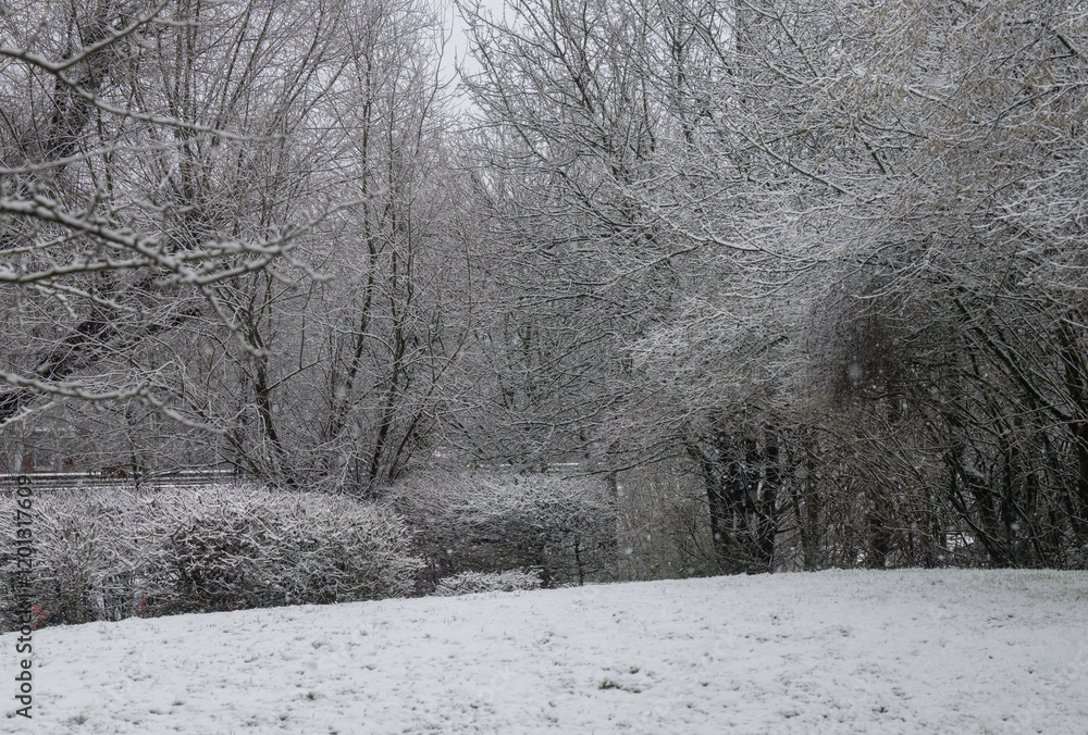 Schneelandschaft oder Winterlandschaft, Schnee und Eis bedeckte Bäume