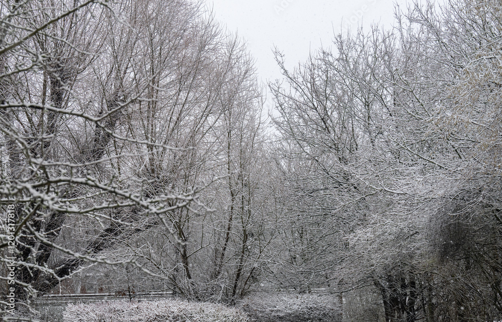 Schneefall und Temperaturen unter Null Grad im Januar in Norddeutschland