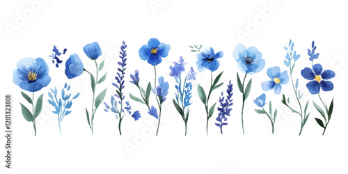 Set of watercolor blue wildflowers and lavender, isolated on a white background.