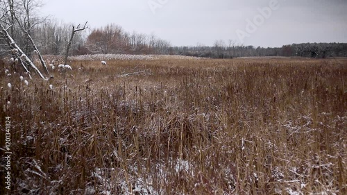 Wallpaper Mural MVI_1944 Static Marsh Winter 15sec Torontodigital.ca
