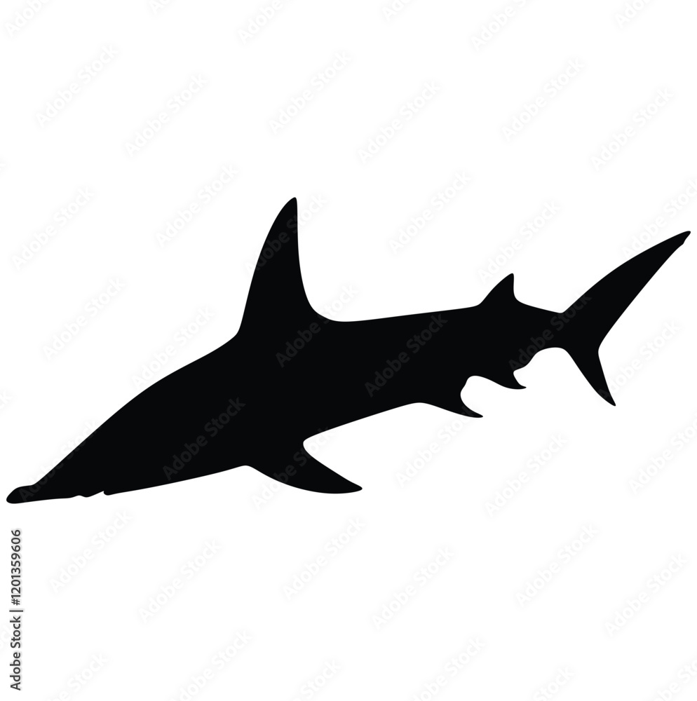 Obraz premium Hammerhead shark, vector